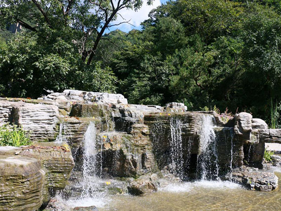 九公山纪念林福泽园怎么样(墓地折扣是多少)