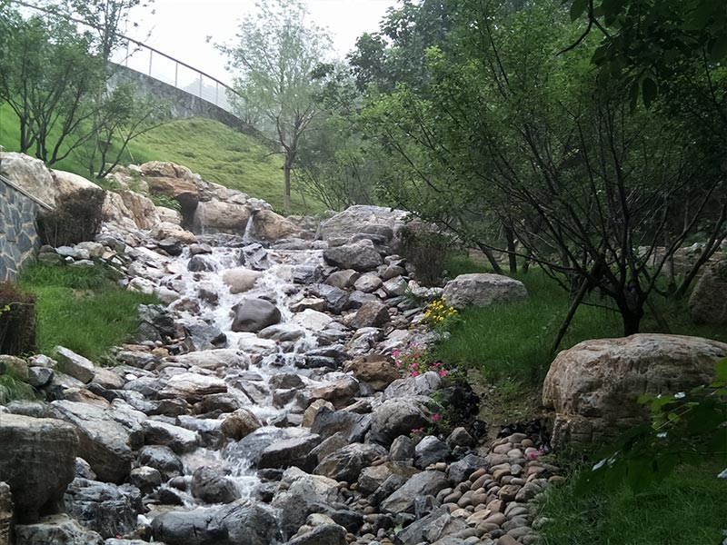 九公山纪念林有什么特色（九公山纪念林怎样）