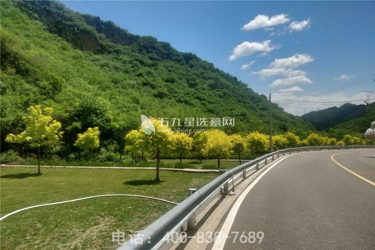 九公山长城纪念林道路一角