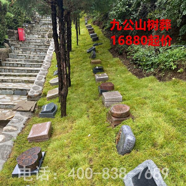 九公山陵园树葬16880元